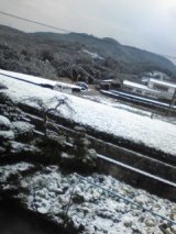 今年もよろしくお願いします