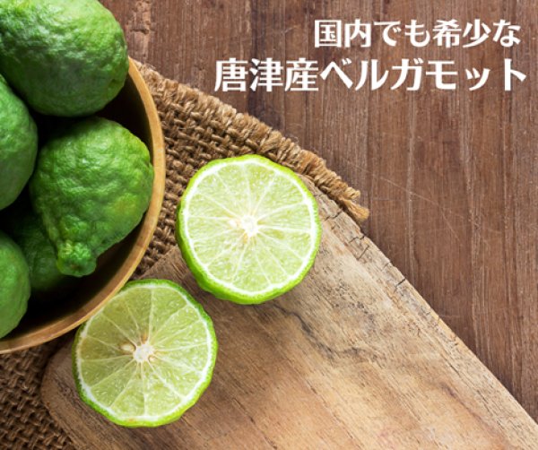 画像3: ベルガモット入り嬉野紅茶（ティーバッグ8個入） (3)