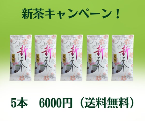 画像1: 2025年度新茶5本パック【送料無料】 (1)