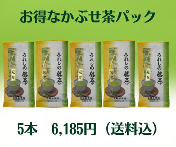 画像1: かぶせ茶5本パック【送料込】 (1)