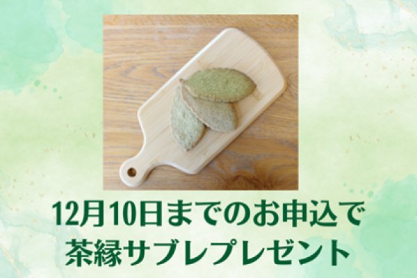 画像2: かぶせ茶3本パック【送料無料,12月10日までがお得】嬉野茶で嬉しいお正月！ (2)