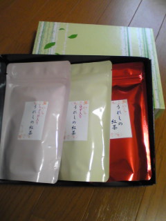 嬉野紅茶　ギフトセット（3本入り）